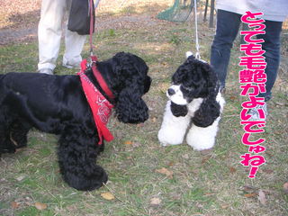 PICT0031-2.jpg