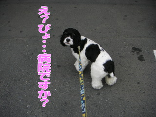 PICT0032-2.jpg