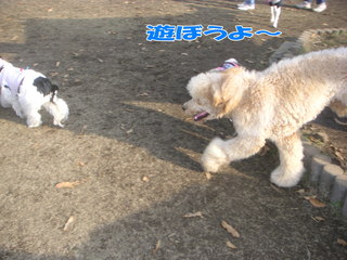 PICT0046-2.jpg