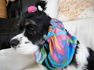 DSC02180-2.jpg
