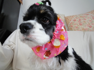 DSC02181-2.jpg