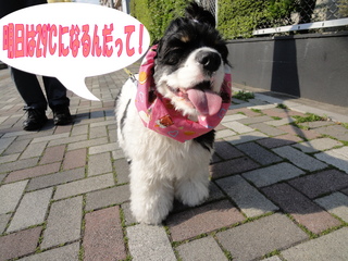 DSC02213-2.jpg