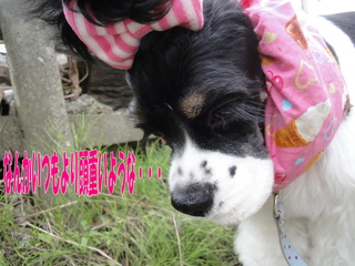 DSC02488-2.jpg
