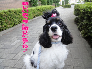 DSC02607-2.jpg