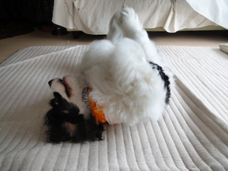 DSC02651-2.jpg