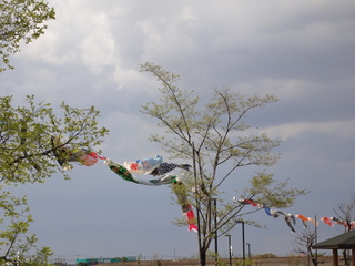 DSC02062-2.jpg