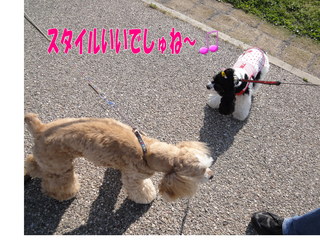 DSC02136-2.jpg
