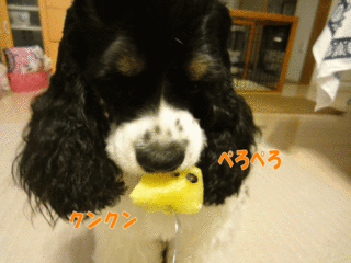 DSC02560-2.gif
