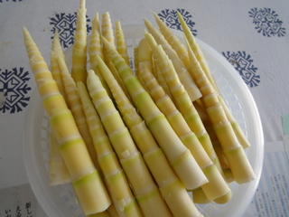 DSC02592-2.jpg