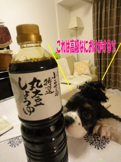 DSC02642-2.jpg