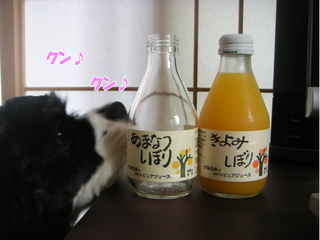 PICT0002-2.jpg