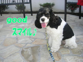PICT0020-2.jpg