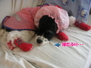 PICT0020-3.jpg