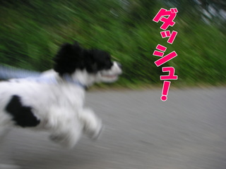 PICT0039-2.jpg
