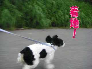PICT0040-2.jpg