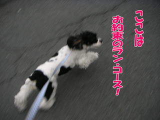 PICT0044-2.jpg