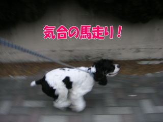 PICT0045-2.jpg