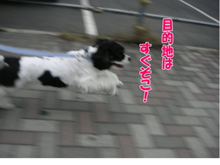 PICT0047-2.jpg
