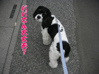 PICT0062-2.jpg